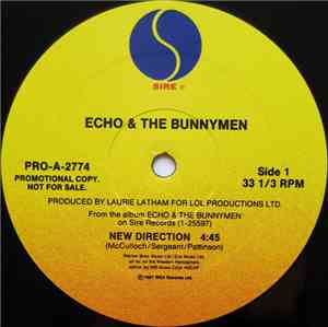 Echo & The Bunnymen - New Direction