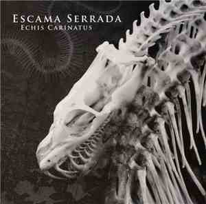 Escama Serrada - Echis Carinatus