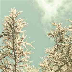 Michiru Aoyama - 暖かな季節 (Warm Season)