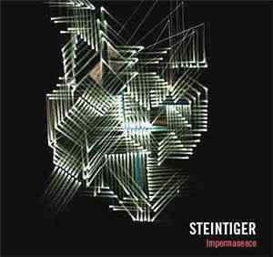 Steintiger - Impermanence