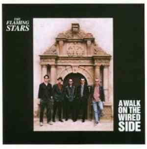 The Flaming Stars - A Walk On The Wired Side