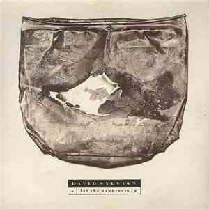 David Sylvian - Let The Happiness In