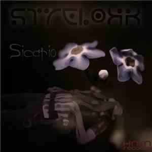 Strelokk - Sicario