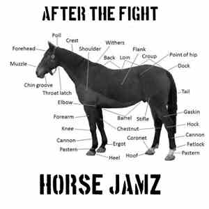 After The Fight - Horse Jamz
