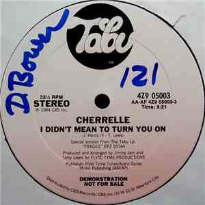 Cherrelle - I Didn't Mean To Turn You On