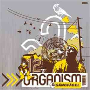 Organism 12 - Sångfågel