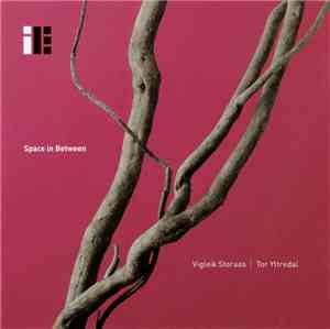 Vigleik Storaas | Tor Yttredal - Space In Between