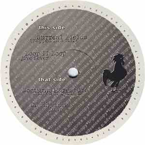 Various - Sounds Of The Big Stink Disc Seven