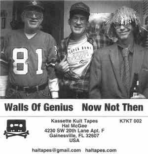 Walls Of Genius - Now Not Then