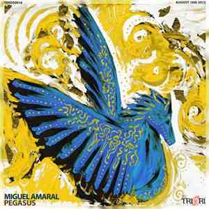 Miguel Amaral - Pegasus