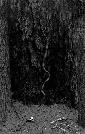 One Master / Ninhursag - One Master/Ninhursag