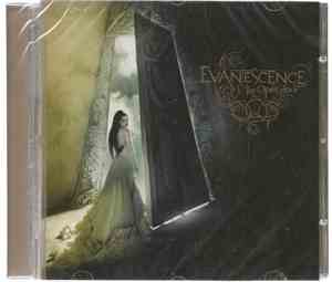 Evanescence - The Open Door