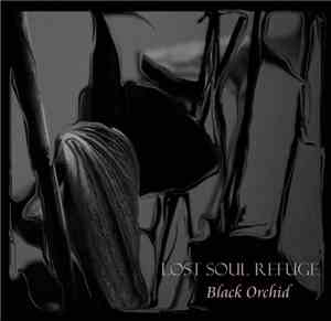Lost Soul Refuge - Black Orchid