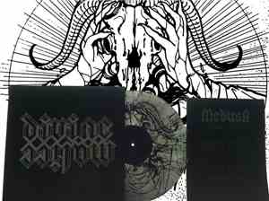 Medusa  - Divine Malice