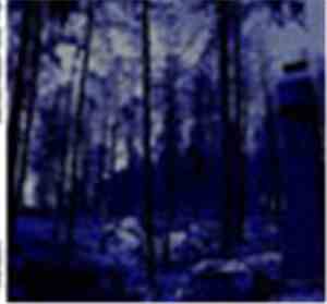 We vs. Death / Green Concorde - 9-Song Split