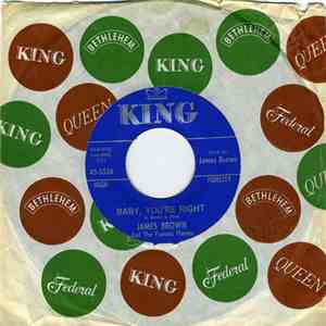 James Brown And The Famous Flames - Baby, You're Right / I'll Never, Never  ...
