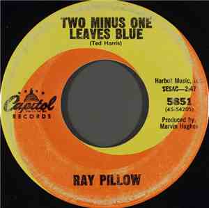 Ray Pillow - Two Minus One Leaves Blue