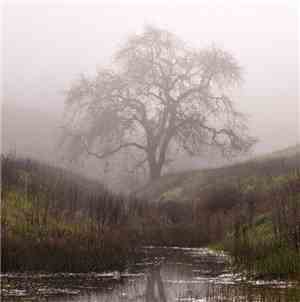 Procer Veneficus - Deathwanderings