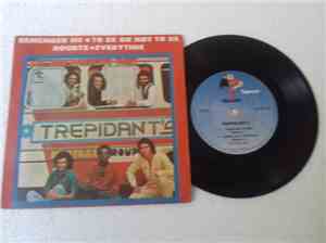 Trepidant's - Remember Me