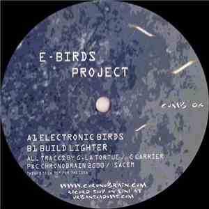 E-Birds Project - Electronic Birds / Build Lighter