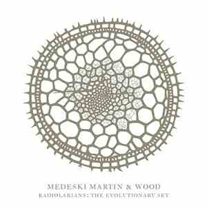 Medeski Martin & Wood - Radiolarians: The Evolutionary Set