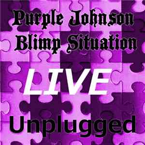 Purple Johnson Blimp Situation - Unplugged (Live At Puzzle Park)