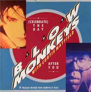 The Blow Monkeys With Curtis Mayfield - (Celebrate) The Day After You