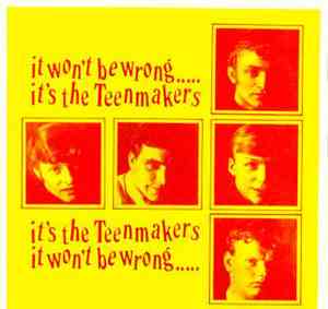 Teenmakers - It Won't Be Wrong.....It's The Teenmakers