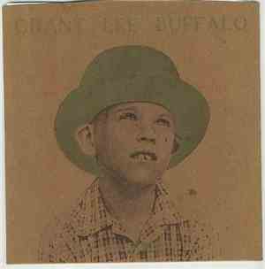 Grant Lee Buffalo - Fuzzy / We're Coming Down