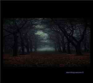 Stormloop - Autumn II