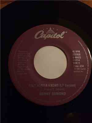 Donny Osmond - Hold On (7