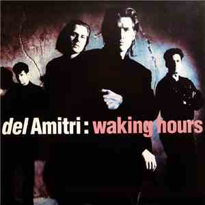 Del Amitri - Waking Hours