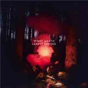 Los Campesinos! - What Death Leaves Behind