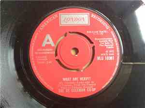 The Cy Coleman Co-op - What Are Heavy?