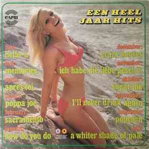 Various - Een Heel Jaar Hits