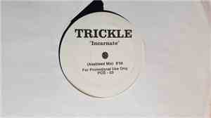 Trickle - Incarnate
