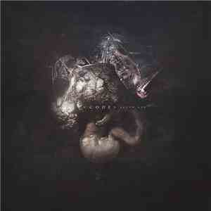 Code  - Augur Nox