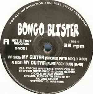 Bongo Blister - My Guitar