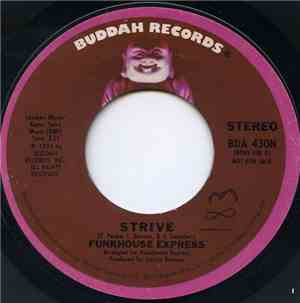 Funkhouse Express - Strive