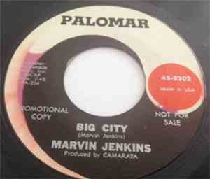 Marvin Jenkins - Big City