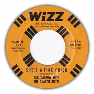 Neil Darrow With The Quarter Notes  - She's A Fine Chick