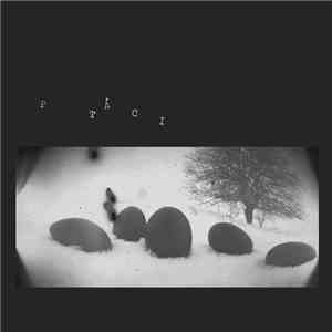 Ptáci - Sbírka Motivů / Motive Collection