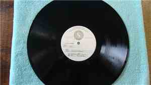Shriekback - Big Night Music