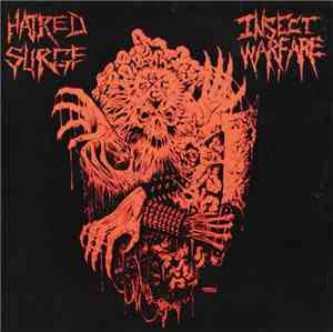 Insect Warfare / Hatred Surge - Insect Warfare / Hatred Surge