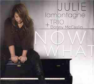 Julie Lamontagne Trio + Donny McCaslin - Now What