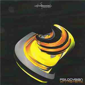 Psilocybian - Wry Figments