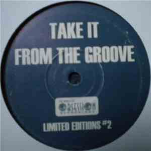 Vinylgroover - Take It From The Groove