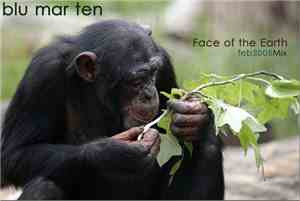 Blu Mar Ten - Face Of The Earth