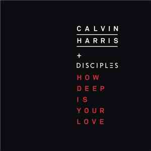 Calvin Harris + Disciples  - How Deep Is Your Love
