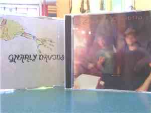 Gnarly Davidson - Gnarly Davidson